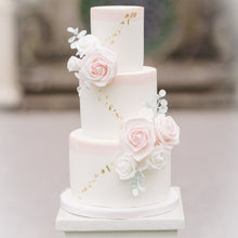 Load image into Gallery viewer, 12 Inches Wooden Dowel 12 Pieces Set 4
