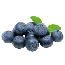 Load image into Gallery viewer, Mala's Blueberry Fruit Filling 1 Kg 2
