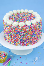Load image into Gallery viewer, R31 Rainbow Vermicelli Sprinkles 4
